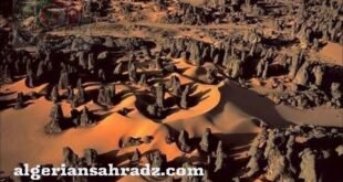 "رسم صخري في طاسيلي ناجر بالصحراء الجزائرية"